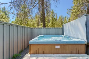 10 Tan Oak - Image 4