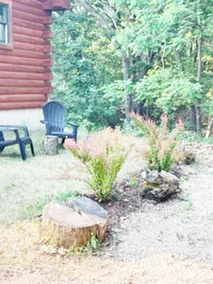 Glacier Lake Log Cabin 30 minutter nord for Wisconsin Dells - Image 4