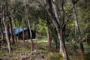 1 Bedroom, 1 Bathroom River Log Cabin - Image 3