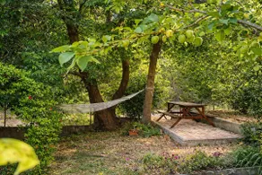 Sunshine Home - Peaceful Garden Escape & Parking - Image 5