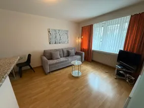 Nice 1BR flat in the city center - Crown 3 - Image 2