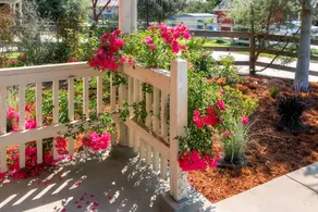Serene Bungalow-Style 2BR Point Reyes Station Home - Image 2