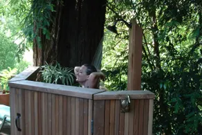 Casa Luna ~ Charming Vintage Cabin Retreat on the River, Spa, Dog Friendly! - Image 2