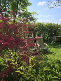 Oursinest Fairy's Cottage - Image 4