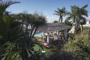 Tenerife, Mountain View, Privacy - Image 5
