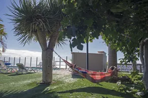 Tenerife, Mountain View, Privacy - Image 4