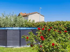 Kika by Interhome - Image 2