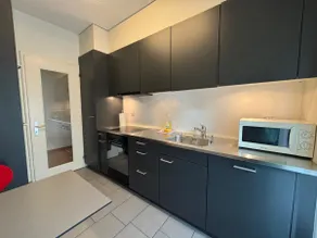 Spacious 1BR near Lake and Opera - Mill 3 11 - Image 5