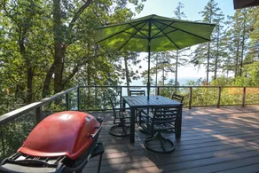 San Juan Island, Orca übersehen # 112 - Image 3