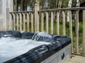 Cabin W Hot Tub, Sauna, King Beds, National Park - Image 2