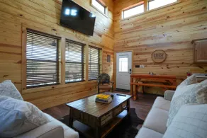 Rustic Cabin - Modern Lux Cabin, Hot Tub, FirePit - Image 3