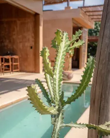 Ostión House with beach access for surfing - Image 2