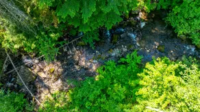 Tranquil Creekside Cabin - Image 4