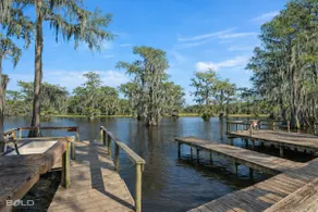 Blue Heron Lakefront Cabin on Caddo Lake Dock - Image 4