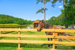 Lakeside Farm Sanctuary! 30-Acre Benson Retreat - Image 2