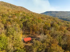 Eagles Nest Cabin with TN River Views - Image 3