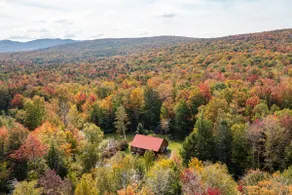 Cozy Cabin in Stratton Mountain & Mount Snow 10min - Image 4