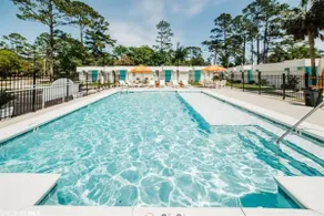 Cozy Starfish Retreat: Near Beaches & Pet-Friendly - Image 2