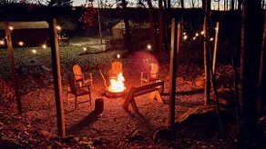 Charming cabin in the woods with private trails! - Image 2
