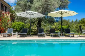 Finca Moscari - Image 3