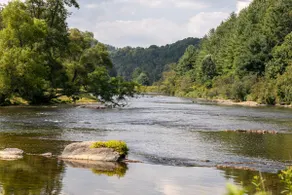 Robin Hoods Retreat - Luxury home - walk to river! - Image 4