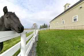 Unique Finger Lakes Converted Horse Barn w/ Patio! - Image 2