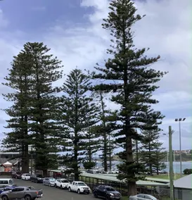 Seabreeze Luxury Apartment Kiama - Image 3