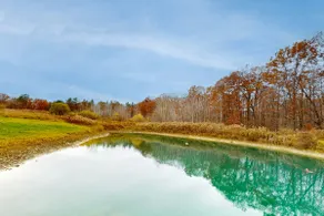 Dog-friendly 2BR with amazing views & stocked pond - Image 5