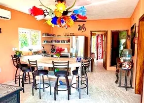 Casa Palmas - Image 2