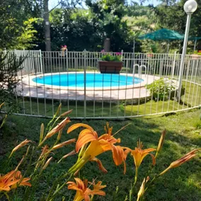Italian Experience- Podere Vallino - Image 3
