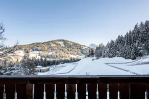 Lechnerhof Apt 4 - Image 2