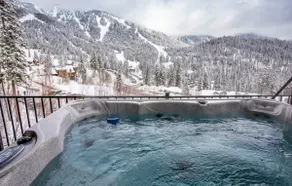 Big Mountain Haus, ski in/out.7BD 5.5BA, Hot Tub & Dry Sauna! Sleeps 22! - Image 2