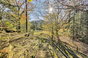 Serene and Secluded Walk Up in the Woods - Image 4