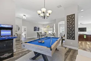 The Black Porcupine | Pool | Pool Table & Arcade - Image 2