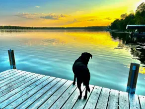 Poppy's Place on Big Pine Lake, Crosslake - Image 3