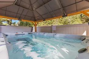 Modern Dog-Friendly Cabin: Hot Tub & Fireplace - Image 3