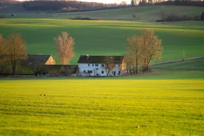 Bühberg Alm Chalet - Image 3