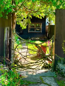 Moss Cottage | Historic home + Easy walk to campus - Image 4