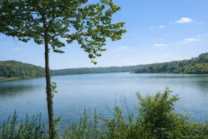 Lakeview Cabin | Dock, Fire Pit & Screened Porch - Image 5