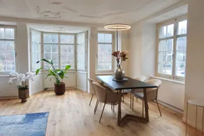 Modern Apartment in Schaffhausen Center - Image 3