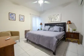 Hospital San José and Valle Oriente! 9 guests - Image 2