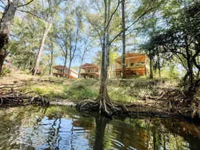 Paddlewhack Cabin 5-The Bow - Image 3