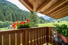 Ferienhaus Larch Soge Apt Paula - Image 2