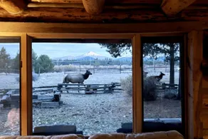 Log Cabin on 16 Acres | Hot Tub | Cascade Views - Image 3