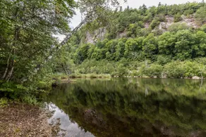 On Goss Pond - Cozy cabin, family friendly for nature lovers! - Image 5