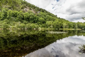 On Goss Pond - Cozy cabin, family friendly for nature lovers! - Image 4