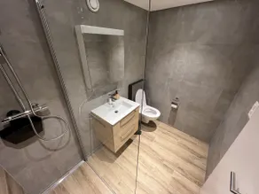 Beautiful renovated apartment - Image 4