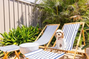 Bel Air, 8A Ocean Ave - pet friendly, water views and air con - Image 2