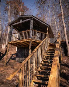 Glamping Cabin | Huge Window | Nature Lovers Dream - Image 5