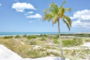 Lone Palm Retreat by Sun Palace Vacations - Image 4